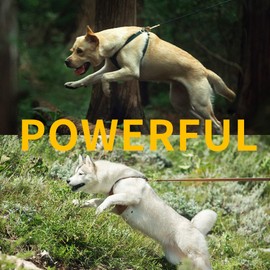 Dog Harness, No Pull Dogs Harness and Multi-Function Leash Set for Medium Dogs Easy Walk Everyday Adjustable Soft Dog Vest Harness Fashionable Dog Accessories Denim Khaki-Button-M+