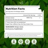 FreshDrinkUS, Premium 60+ Mango Whole Leaves Dried, 100% Natural &
