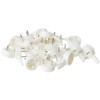 Merriway® BH01676 (20 Pcs) Small 22mm (7/8 inch) White Nylon