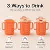 4 Pack Adult Sippy Cup with Handles and Straw Lid,