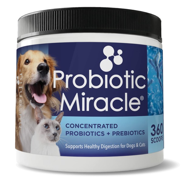 NUSENTIA Probiotics for Dogs -(360 Scoops)-Probiotic Miracle -Advanced, Species Specific Probiotics and Prebiotics to Stop Diarrhea, Loose Stool, and Yeast-Plus Immune Support