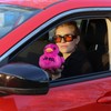 Jeep Text Logo Stuffed Animal Plush Duck Pink -Perfect Enthusiasts