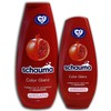 Schauma Colour Shine Shampoo + Conditioner 400 + 250 ml