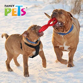 Fancy Pets Juguete Eslabón Doble Chew para Perros Mediano 19.8 x 7.8 x 7.8 cm Flotante Espuma TPR Resistente
