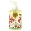 Michel Design Works Sea Breeze Foaming Shea Butter Hand Soap