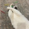Ethical Thin Colorful Springs Juguete para Gato, Paquete de 10