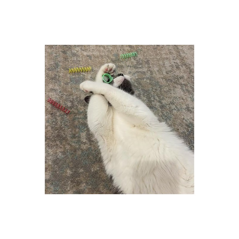 Ethical Thin Colorful Springs Juguete para Gato, Paquete de 10