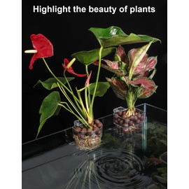 Aquarium Plant Holder with Hook – Transparent Acrylic Hanging Fish Tank Plant Stand for Hydroponic Plants & Aquarium Decoration