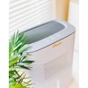 Crane Compact Dehumidifier for 300 Sq Ft Rooms, 0.5 Gallon