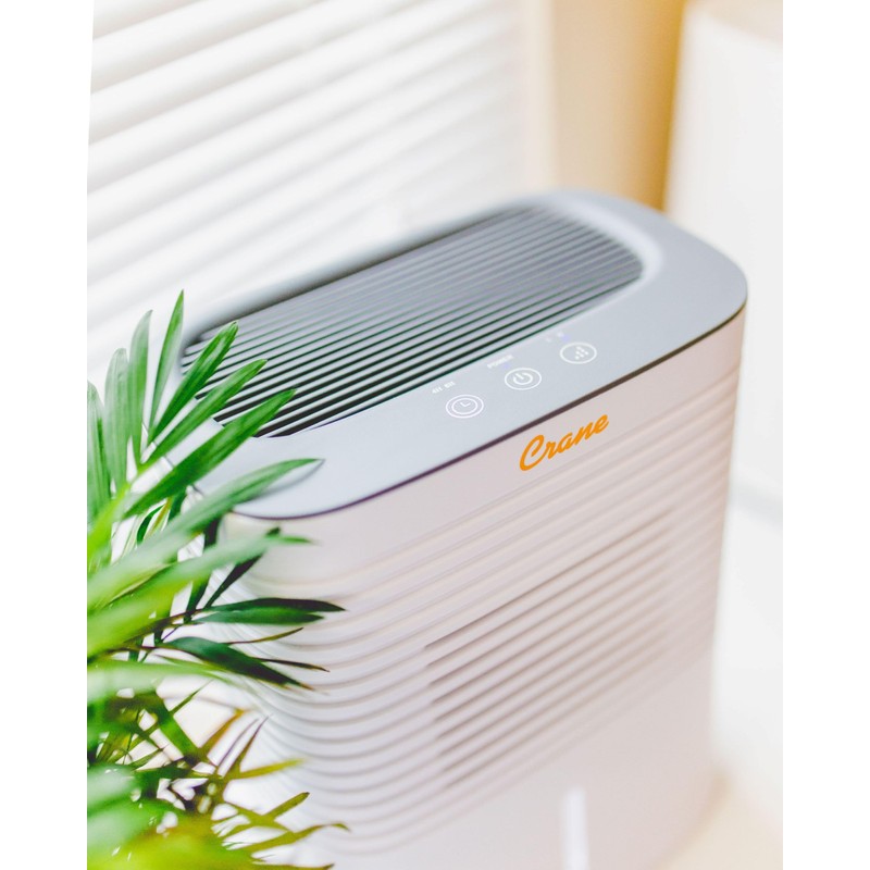 Crane Compact Dehumidifier for 300 Sq Ft Rooms, 0.5 Gallon