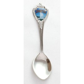 Yellowstone National Park Wyoming State Souvenir Collectible Mini Spoon 3" lpco