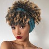 Aisaide Short Curly Wigs for Black Women,Synthetic High Puff Afro