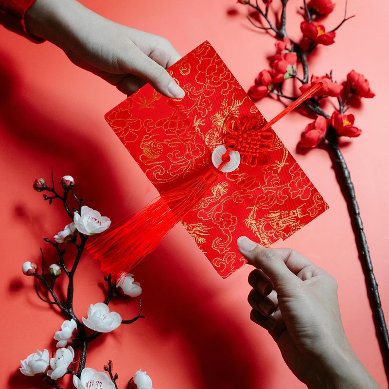 Lotsdonxia Red Envelopes with Chinese Elements Lucky Money Pockets Elegant