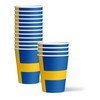 Swedish Flag Birthday Party Supplies Set Plates Napkins Cups Tableware