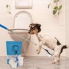 Dog Urine Sample Catcher - Long Handled Telescopic Urine Collector,Urine