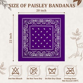 PJPSAA 12 Pack Bandanas Unisex Paisley Cowboy Bandanas Bulk Multi Purpose Headband Scarf for Men Women Costume