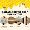 20 Pack Small Reusable hive Beetle for bee Hives Beetle