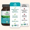 ORGANIC INDIA Gotu Kola Herbal Supplement - Adaptogen for Brain