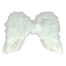 Treasure Gurus Feather Angel Wings Fashion Costume Accessory