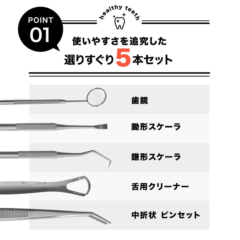 SW歯石取りツール