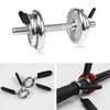 Fenglin-joy Dumbbell Bar Spring Clasp, Pack of 4, 28 mm