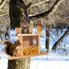ChezMax Squirrel Feeder with Auto Water Bottle for Outside Winter,