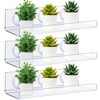 Reallnaive Reallnaive 3 Pack 12 Inch Window Plant Floating Shelves