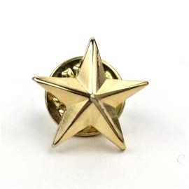 Unbranded Premium Metal Gold Star Pin with Butterfly Clutch Back