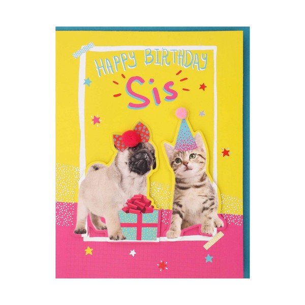 Clintons: Sis Birthday Card, Puppy and Kitten in Party Hats, Birthday Card for Sis, Amazing Sis Birthday Card,149x195mm 1149188 multi