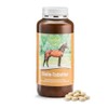 tierlieb Biotin Tablets for Horses, for Hooves, Skin and Coat,