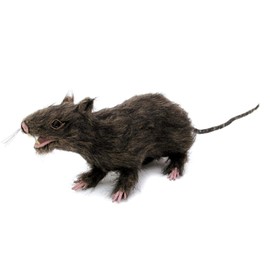 Europalms 1-Piece Rat Lifelike with Coat, Brown