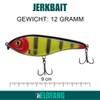 ELBFANG Jerkbait Set - Jerkbait Pike Bait - Jerk Wobbler