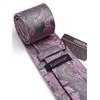 Enlision Men's Ties Pink Paisley Clip Tie and Pocket Square