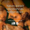 New Chapter Turmeric Force Vegetarian Capsule - 120 ct