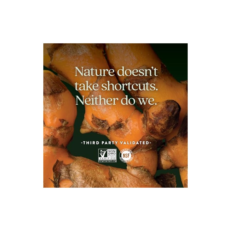 New Chapter Turmeric Force Vegetarian Capsule - 120 ct