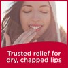 Carmex Bálsamo labial clásico medicado, 0.25 oz (paquete de 3)