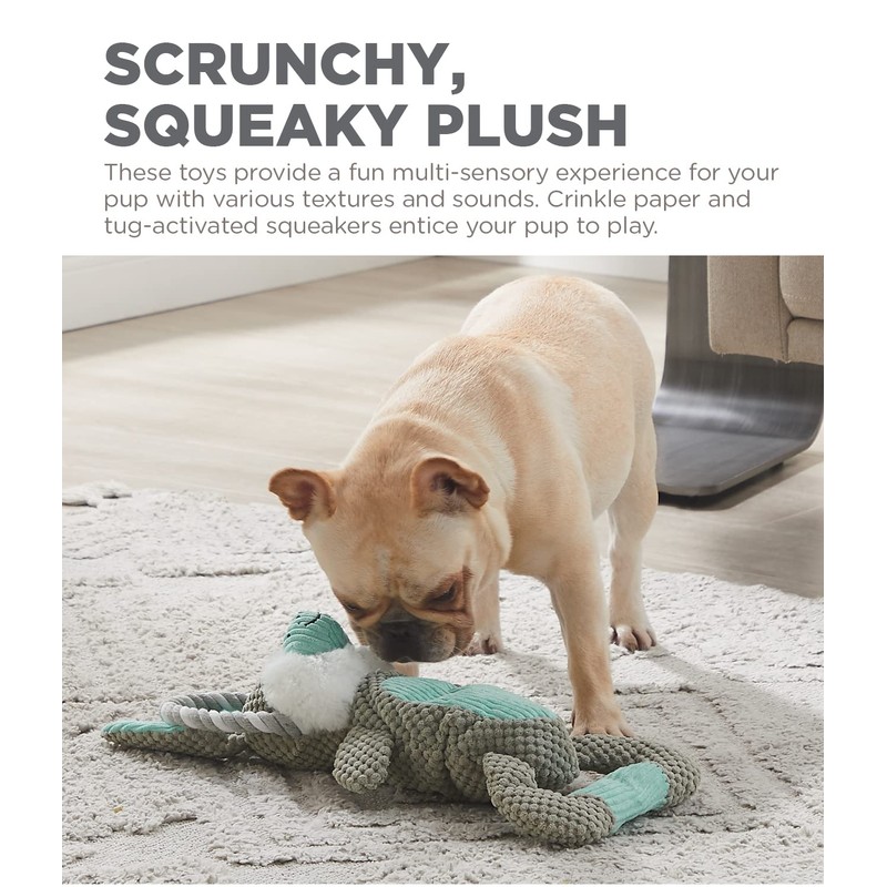 Outward Hound Scrunch Bunch Bunny Interactive Plush Squeaky Dog Tug