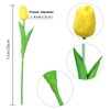 Deorok 30pcs Artificial Latex Tulips Flowers Faux Tulip Stems PU