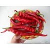 Doux des Landes Pepper 10+ Seeds