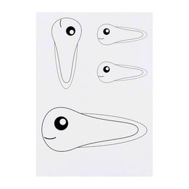 Azeeda 4 x 'Entzückende Kaulquappe' Temporäre Tattoos - Wasserfest, Hautfreundlich & Ungiftig · Transfers in Verschiedenen Größen (TO00079910)