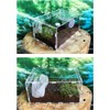 CiCixixi Transparent Acrylic Terrarium, 360° View, for Reptiles and Insects,