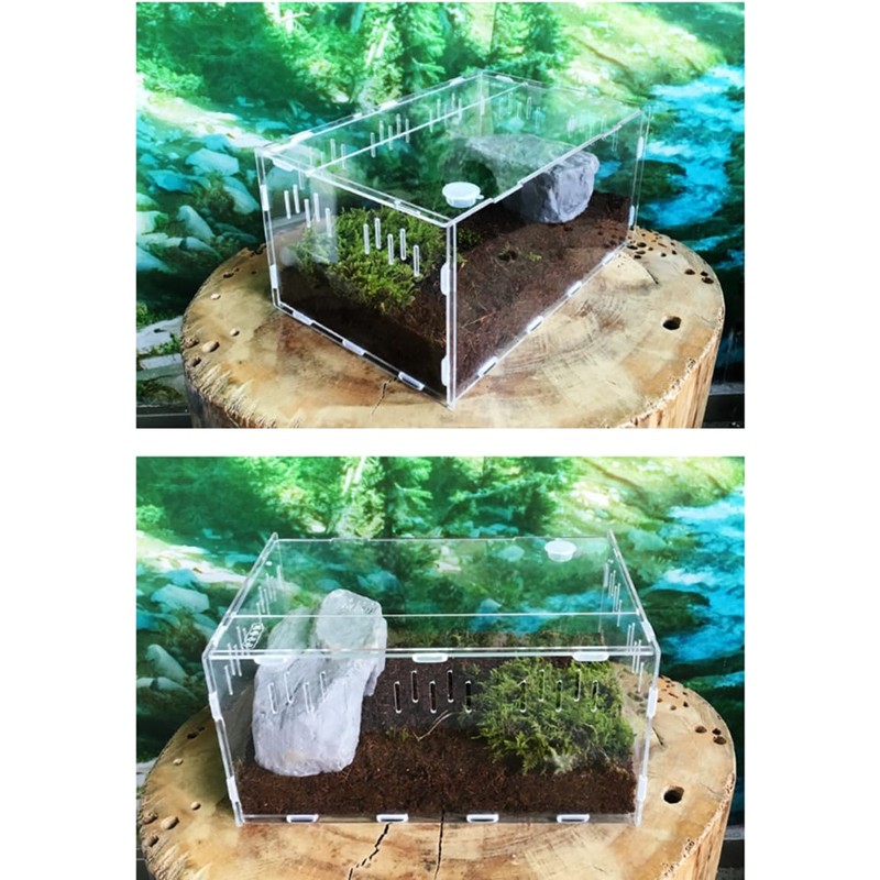 CiCixixi Transparent Acrylic Terrarium, 360° View, for Reptiles and Insects,