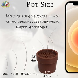 Cat Whisker Collector Pot – Mini Keepsake Plastic Display for Long or Short Whiskers, Thoughtful Pet Memorial Gift for Cat Owners