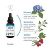 Phytopet Aqua | 100ml |100% Natural Herbal Remedy for Urinary