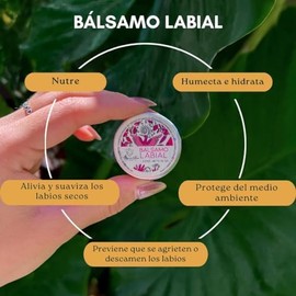 Balsamo labios  Lip oil  Hidratante de labios  Protege y repara los labios  Labios secos  Contiene Aceite de coco, manteca de cacao  10 gr