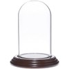 Plymor 2.5" x 4.5" Small Glass Display Dome Cloche (Dark