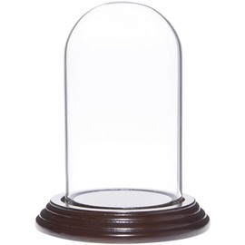 Plymor 2.5" x 4.5" Small Glass Display Dome Cloche (Dark Mahogany Veneer Base)
