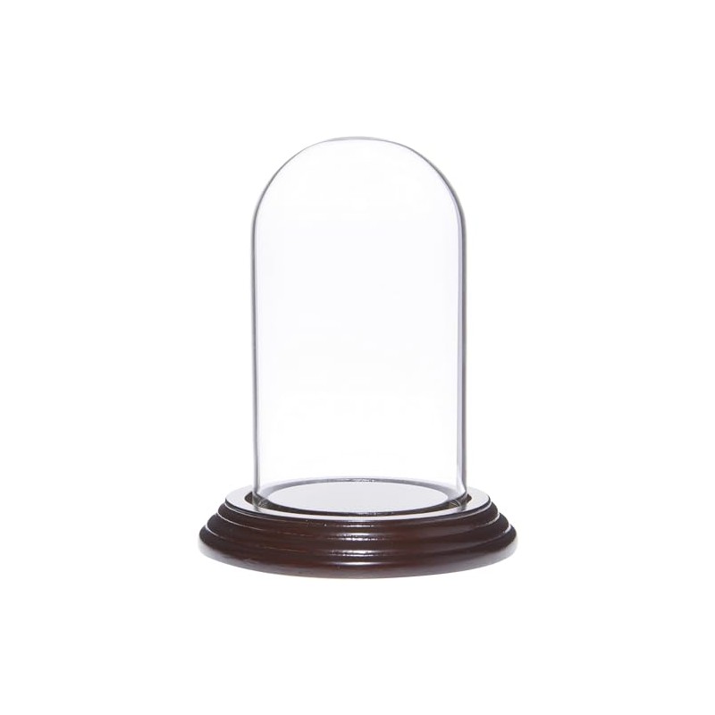 Plymor 2.5" x 4.5" Small Glass Display Dome Cloche (Dark