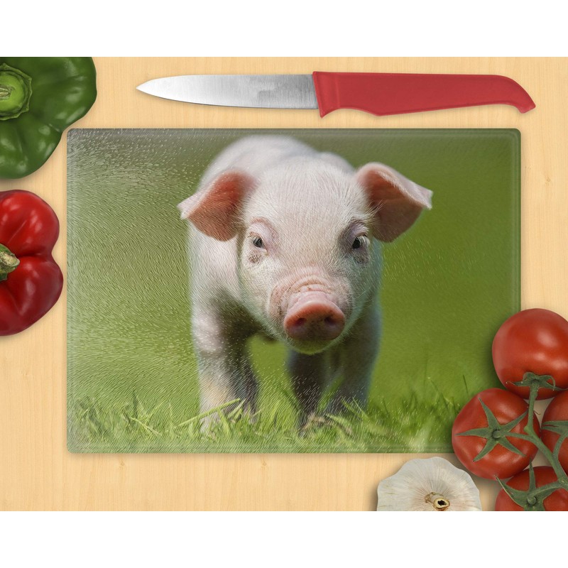 Chopping Board / Glass Chopping Board 20 x 28 x