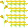 Boromine Fruit Fly Traps - 60 Pack Yellow Sticky Traps